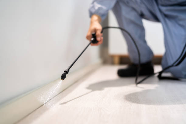 Licensed Termite Control service in Bastrop, LA - Nex Pest Control