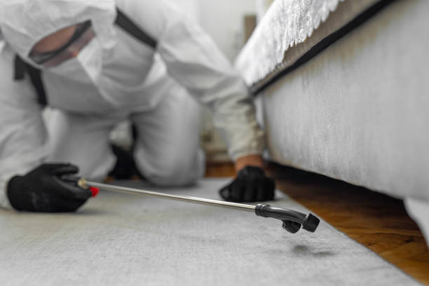 Professional Termite Control technician working in Bastrop, LA