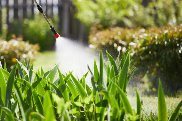 24/7 Emergency Termite Control experts in Bastrop, LA