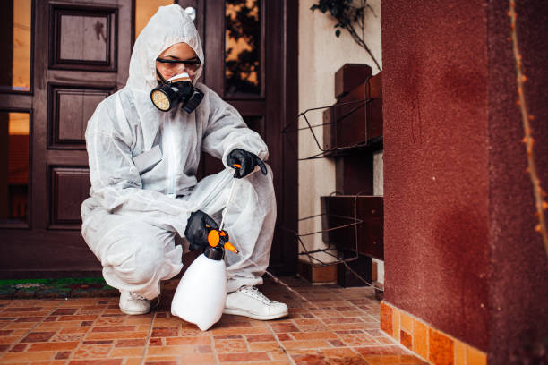Reliable Termite Control contractor in Bastrop, LA by Nex Pest Control